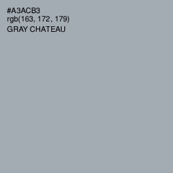 #A3ACB3 - Gray Chateau Color Image
